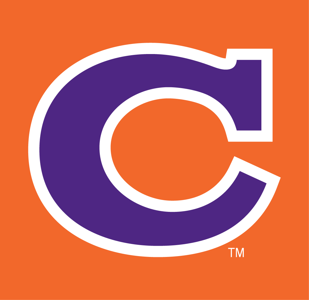 Clemson Tigers 1965-1969 Alternate Logo v2 diy iron on heat transfer